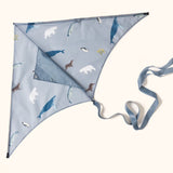 Arctic Kite - Lofty