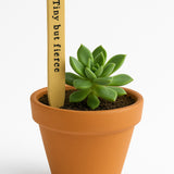 Rustic Garden Markers