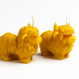 Beeswax Candle - Highland Cow