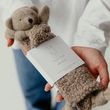 Cedar Ted Cuddly