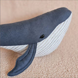 Gilbert the Whale