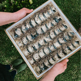 Artisan Soap Bar - Lavender + Lemon