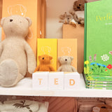 Wooden Letter Alphabet Blocks