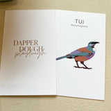 Playdough Native Birds Kit