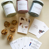 Playdough Native Birds Kit