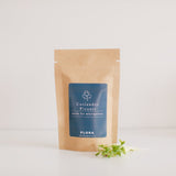 CORIANDER PICANTE MICROGREEN SEED PACK