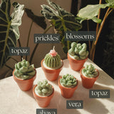 Potted Succulent Candles