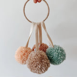 Shushu Poms