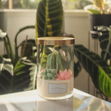 Zion's Desert - Terrarium Candle