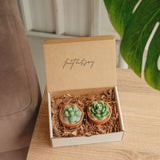 Mini Potted Succulents