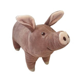 Pink Pig
