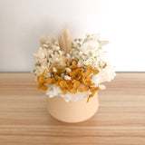 Petite dried flower pot- Peach Pot  + Mustard