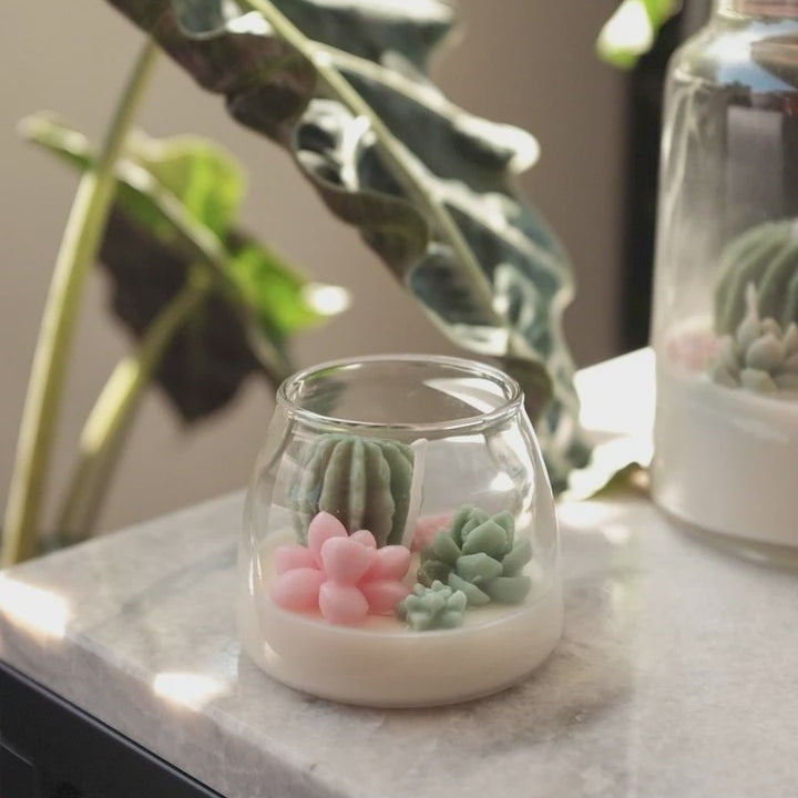 succulent terrarium candle Judean Desert