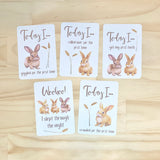 Baby Milestone Cards - Country Bunnies