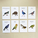 Playdough Native Birds Kit