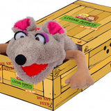 Vallerie - Puppet in a box