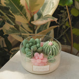The Promised Land - Terrarium Candle