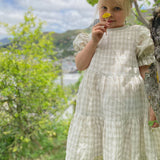 Isabella Dress - Bone Gingham
